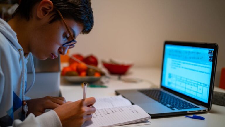 تصویری از آموزش مجازی یک دانش آموز